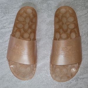 Coach jelly slides
